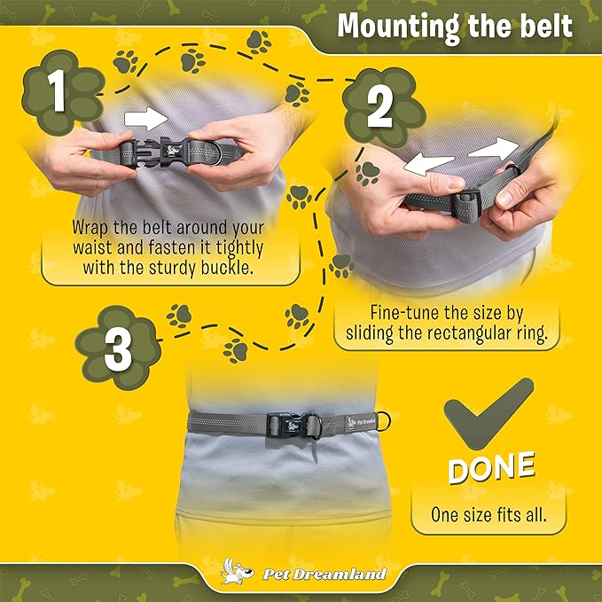 Exquisite Hands-Free Leash for Medium Dogs: Perfect for Active Pet Owners Comfortable, Durable & Ideal for Running, Walking, Hiking. Premium Dog Waist Leash with Bungee. Must-Have Dog Gear