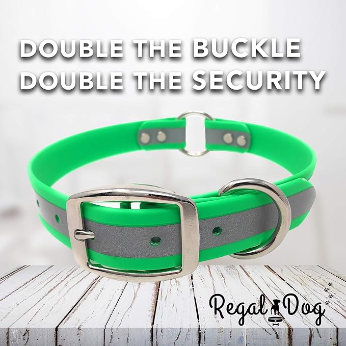 Regal Dog Products Large Lime Green with Custom Engraved Reflective Dog Collar and Leash Set | Waterproof Dog Collar with D Ring | Center Ring & 5'ft Leash | Matching Dog Collar and Leash for Dogs