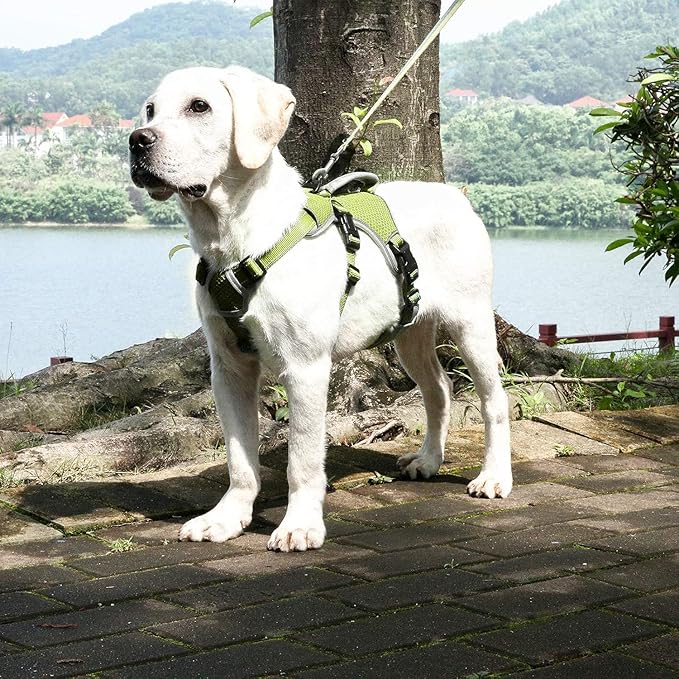 BELPRO Multi-Use Support Dog Harness, Escape Proof No Pull Reflective Adjustable Vest with Durable Handle, Dog Walking Harness for Big/Active Dogs (Green, M)