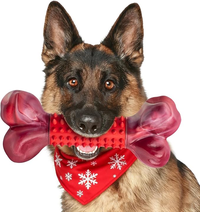 Apasiri Tough Dog Toys for Aggressive Chewers Beef Flavor: 8" Dog Chew Bone for Large Breed, Nylon & Rubber Chew Toy for Medium Large Dogs