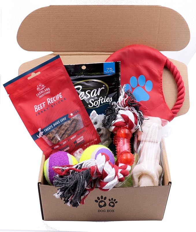 Deluxe Dog Gift Box Set with Pet Chew Toys Treats Snacks