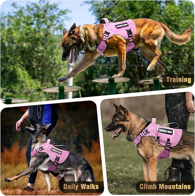 WINSEE Tactical Dog Harness for Medium Dog, Heavy Duty Service Working MOLLE Vest with 10 Pet Patches, 2X Metal Buckle Vest for Training Hunting Walking