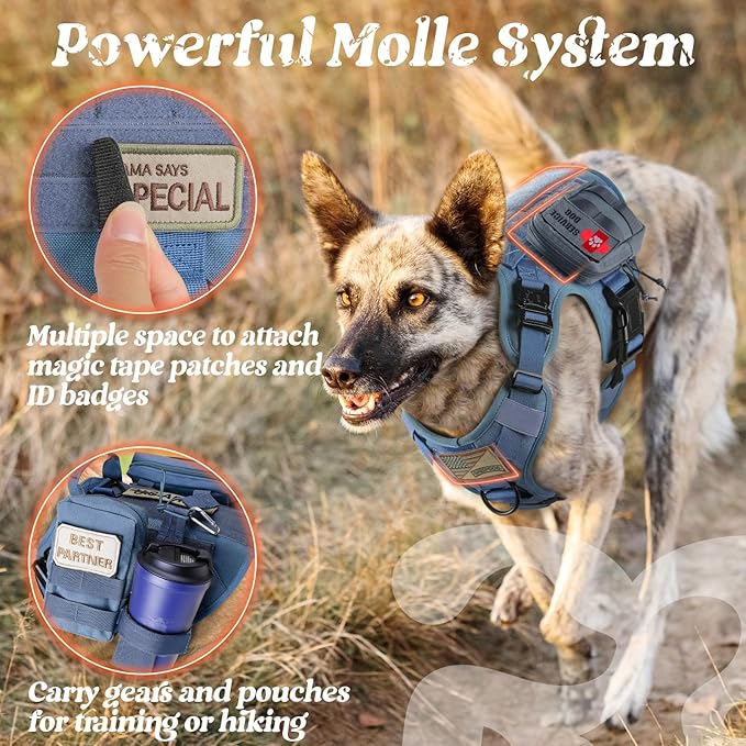 rabbitgoo Tactical Dog Harness Medium Sized, Heavy Duty Pet Harness with Handle, No-Pull Service Vest Medium Breed, Adjustable Military Dog Vest for Training Hunting Walking, Blue, M