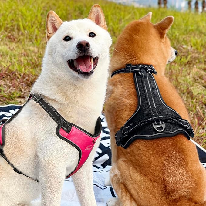 EXCELLENT ELITE SPANKER Nylon Reflective Dog Harness Adjustable No Pull Lightweight EVA Padded Vest Nameplate-Front Clip Service Dog Harness with Buckle for Medium Large Dogs (Peach Red, XL)