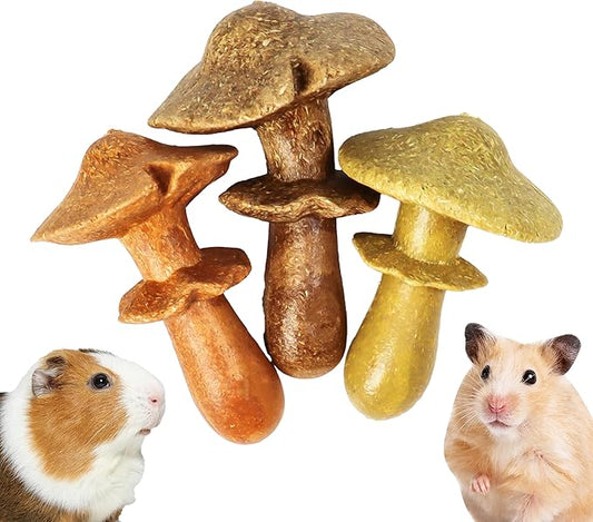 TEEWY 3PCS Guinea Pig Chew Toys, Prevent Teeth Overgrowth, Natural Timothy Grass & Vegetables, Hamster Chew Toys, Guinea Pig Toys, Chinchilla Toys, Mushroom-Shaped