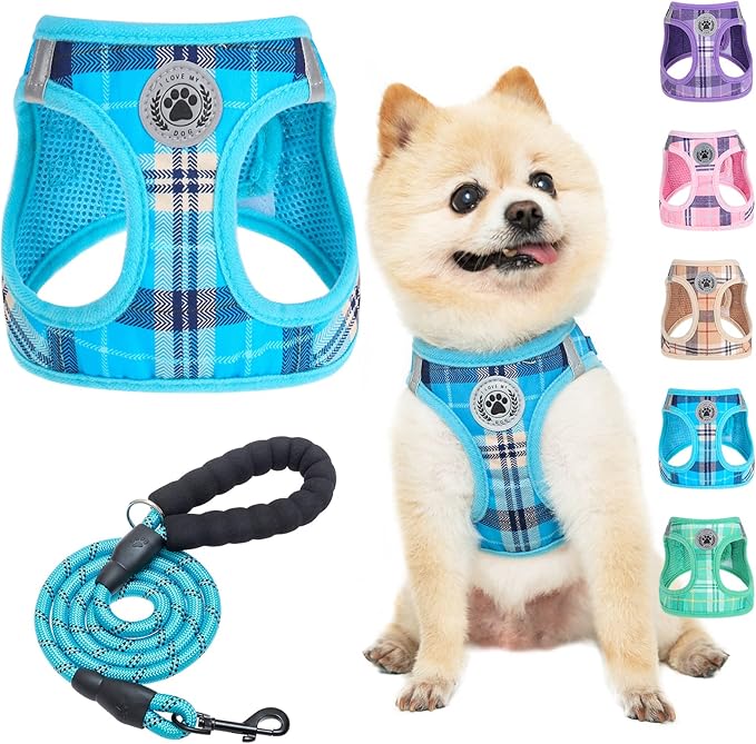 BEAUTYZOO Small Dog Harness and Leash Set,Step in No Choke No Pull Soft Mesh Dog Harnesses Reflective for Extra-Small Medium Puppy Dogs and Cats, Plaid Vest Harness for XS S Pets, Blue S