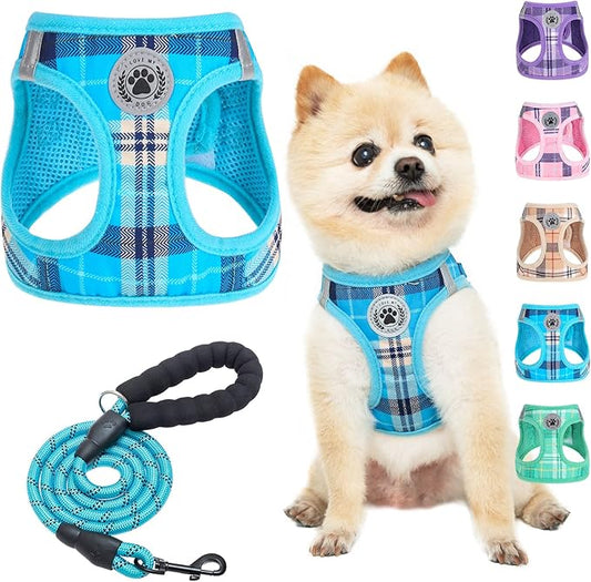 BEAUTYZOO Small Dog Harness and Leash Set,Step in No Choke No Pull Soft Mesh Dog Harnesses Reflective for Extra-Small Medium Puppy Dogs and Cats, Plaid Dog Vest Harness for XS S Pets, Blue XS