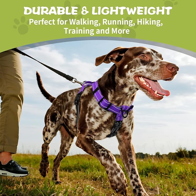 No-Pull Harness,Y-Shaped Design,Buckle-Neck Balance Harness with Reflective Stitching, Ideal for Dog Training and Night Walking, Padded Handle, Durable High-Tensile Nylon-Purple-M