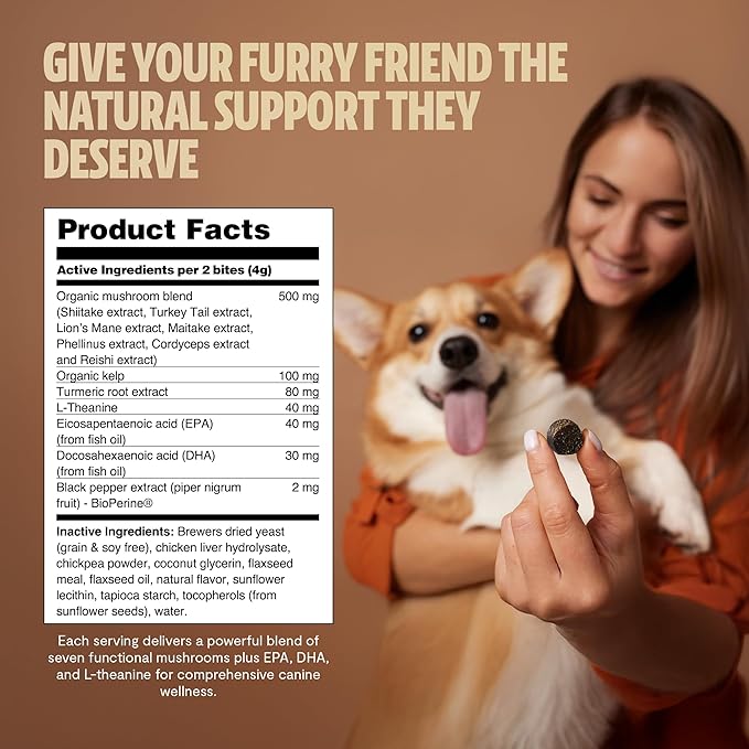 FreshCap Mushrooms Shroomies - 13 in 1 Turkey Tail Mushroom for Dogs, Super Blend Mushroom Supplement for Dogs, Dog Immune Support, Calming Treats (180 Soft Chews)