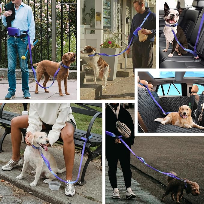 Roses&Poetry Hands Free Dog Leash with Zipper Pouch, 6-9ft Bungee Waist Leash for Medium Large Dogs Walking, Running Lead with Dual Padded Handles Car Safety Buckle for Training Jogging