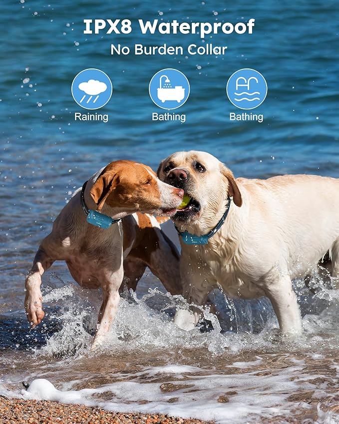 Jugbow 2 Dogs 4200FT Dog Training Collar with Remote, IPX8 Waterproof E Collar for Dogs Training, Rechargeable Collars for Large Medium Small Dogs (10-120lbs)