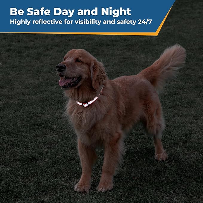 GoTags Reflective Personalized Dog Collar, Custom Embroidered Safety Collar with Pet Name and Phone Number for Boy and Girl Dogs, Small, Medium, and Large Adjustable Sizes (Small, Light Blue)