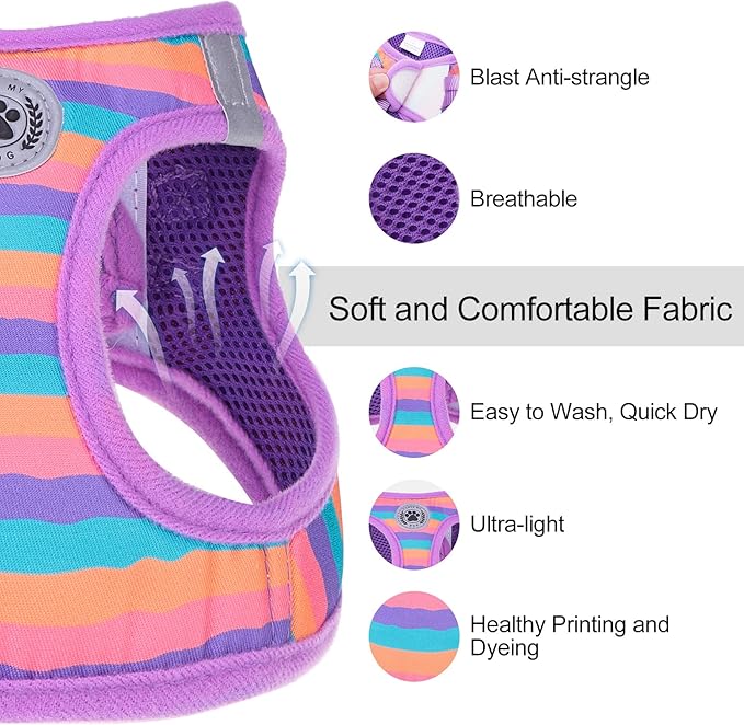 BEAUTYZOO Dog Harness and Leash Set for Small Dogs,No Pull Step-in Harness for Puppy XS S Sized Dogs and Cats,Air Mesh Adjustable Breathable Soft No Choke Escape Proof Vest Harness,Striped Purple XXS