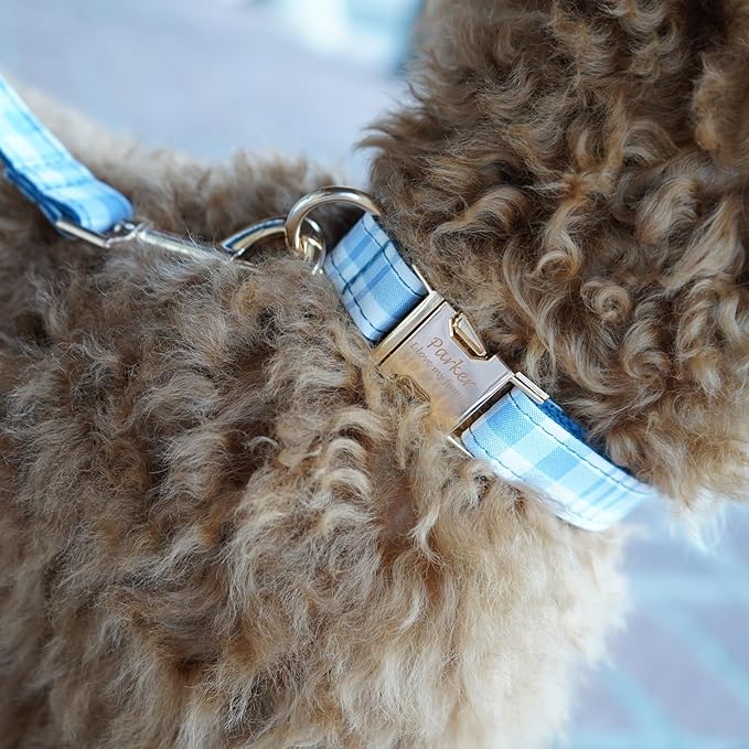 PETDURO Personalized Dog Collar Navy Blue Plaid for Large Medium Dogs | Engraved Name and Phone Number on Gold Metal Buckle for Boys | Add Leash & Bow Tie via Customize Now