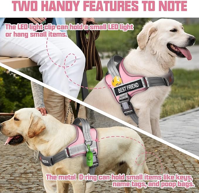 AUROTH Dog Harness and Leash Set, Soft Padded Service Dog Vest with 5.25FT Dog Leash, No Choke, Easy On Pet Vest, Adjustable Reflective No Pull Pet Vest Medium Sized Dog, Easy Walking and Training