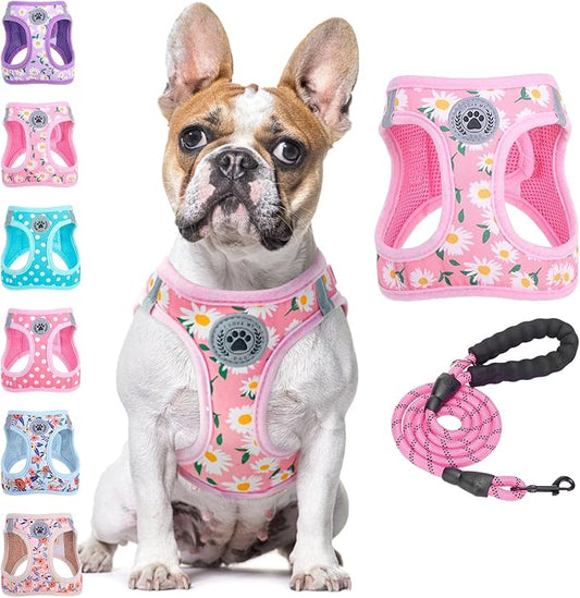 BEAUTYZOO Step in Dog Harness and Leash Set,Floral Pattern Reflective Dog Harness No Pull No Choke Puppy Harness for Small Medium Large Dogs Cats,Soft Padded Mesh Vest Harnesses for Girl and Boy Pets