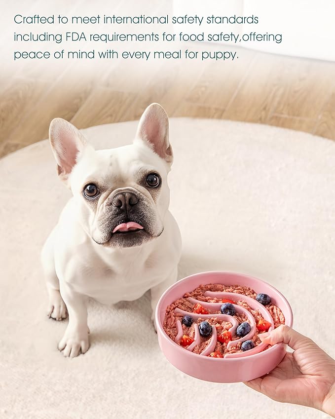 vancasso Slow Feeder Dog Bowl, 0.6 Cup Ceramic Slow Feeding Food Dish for Small Breed, Puzzle Dog Food Bowl for Fast Eater, Pink