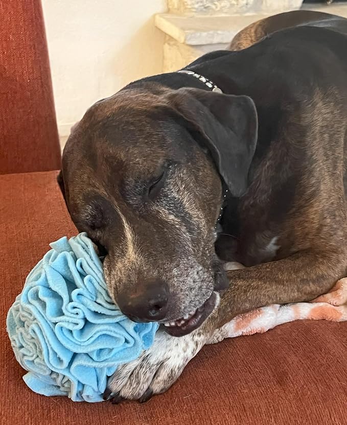 Glory To Dog Medium Breed Snuffle Interactive Foraging Dog Puzzle Ball Toy Blue Large