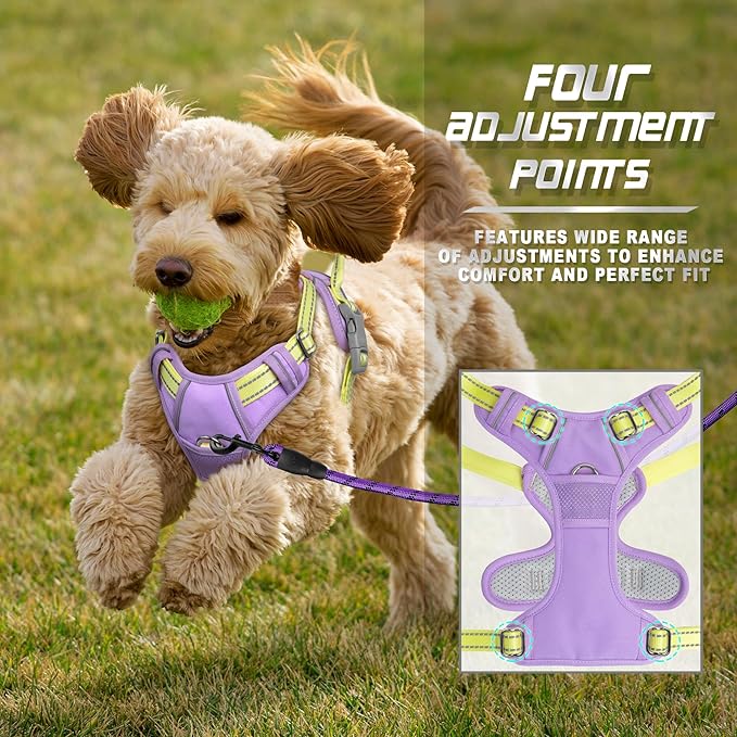 BARKBAY No Pull Dog Harness Front Clip Heavy Duty Reflective Easy Control Handle for Large Dog Walking(Violet Purple & Sunlight,S)