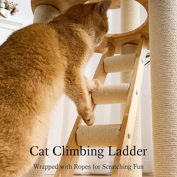 797Audio Solid Wood Cat Tree, 61" Large Modern Tall Cat Tower with Sisal Scratching Posts, Cat Condo, Capsule and Ladder, Aesthetic Multi-Level Cat Climbing Tree for Large Adult Indoor Adult Cats