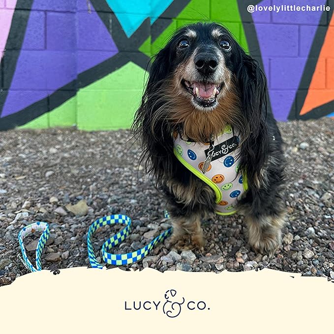 Lucy & Co. Lime Green with Blue Checker Smiley Faces, Cute Reversible Dog Harness Walking Halter - Best Designer Pet Harnesses for XS - XL Dogs - Padded Adjustable Vest for Easy Walking (Large)