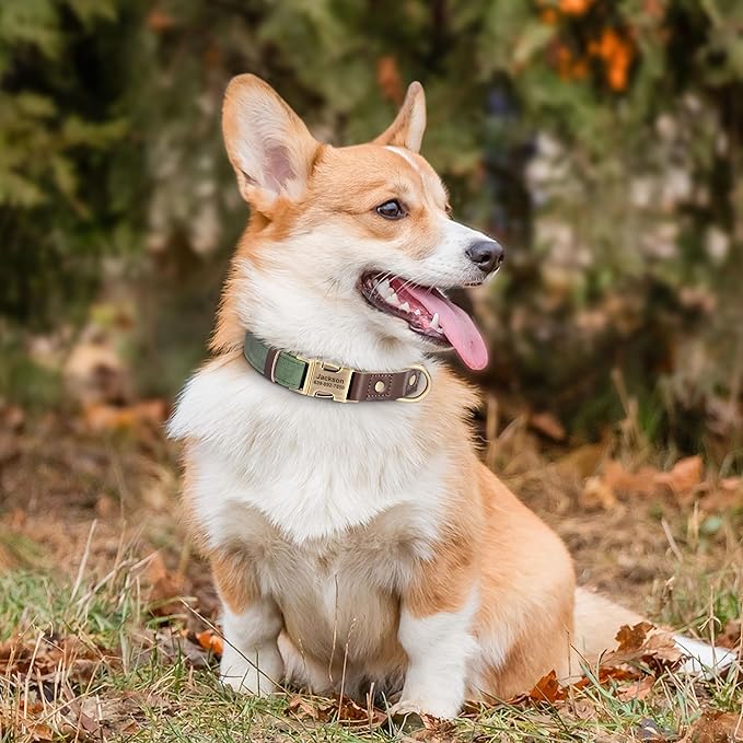 Personalized Dog Collars, Custom Soft PU Leather Dog Collar with Pet Name and Phone Number for Large Dogs, Adjustable and Durable Pet Collars with Quick Release Metal Buckle,XL(17-26")