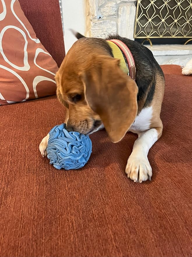Glory To Dog Puppy and Small Breed Snuffle Interactive Foraging Dog Puzzle Ball Toy Blue Small