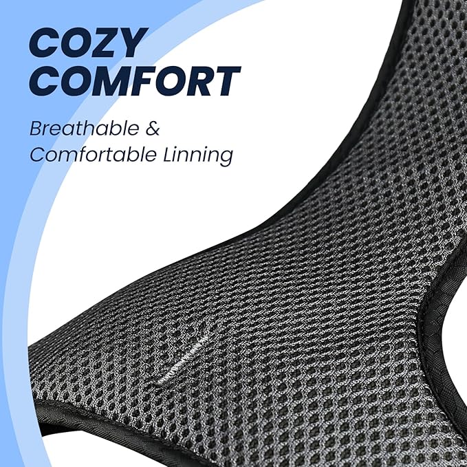 VIVAGLORY Dog Harness Easewalk No Pull Dog Harness with Handle & Front Back Clip for Training Lifting, Easy On Adjustable Padded No Pull for Pet & Puppy, L, Royal Blue