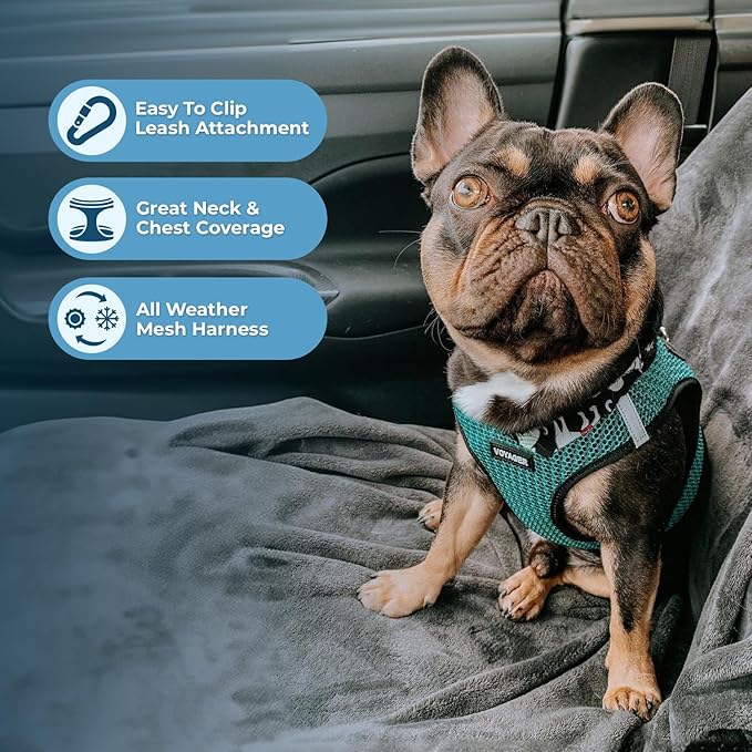 Voyager Step-in Air All Weather Mesh Harness and Reflective Dog 5 ft Leash Combo with Neoprene Handle, for Small, Medium and Large Breed Puppies by Best Pet Supplies - Turquoise, XL