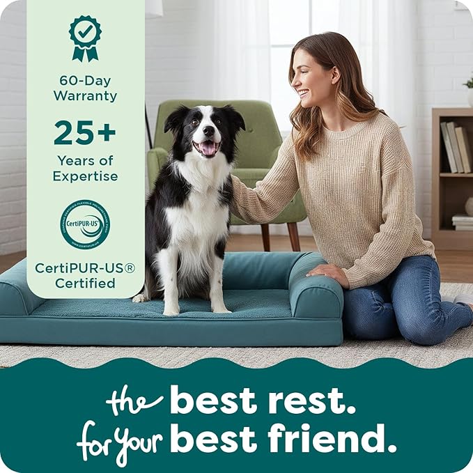 FurHaven Orthopedic Dog Bed for Large Dogs, Sofa Contour Mattress with Egg Crate Orthopedic Memory Foam for Joint Support, Removable Washable Cover, Large, Plush & Suede, Deep Pool