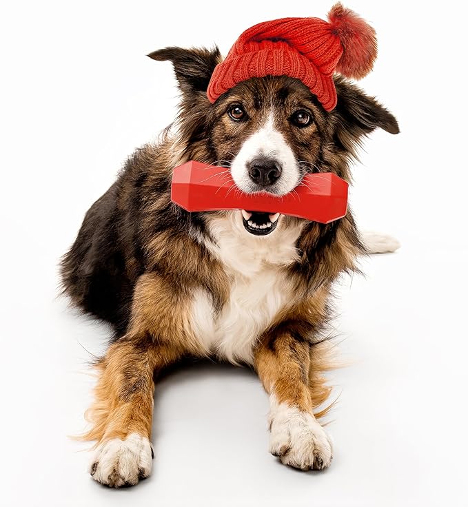 Playology Dog Toys | Durable Squeaky Chew Stick for Dogs | Jumbo Grandma's Gravy Scented Toy - Easy to Clean and Made from Non Toxic Materials