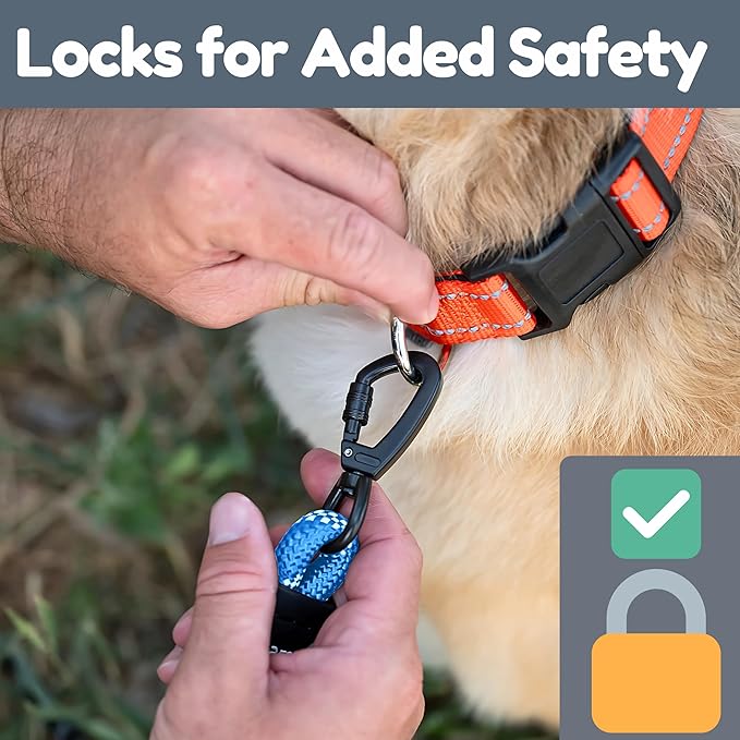 6 Foot Dog Leash, Two Extra Padded Handles, Locking Carabiner Clip, Reflective for Night Visibility, Weatherproof, Heavy Duty Rope Leash, Roam Gear (Blue)