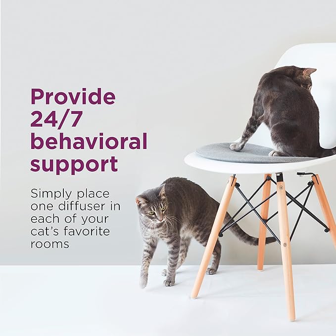 Comfort Zone 30 Day Starter Kit; 1 Multicat Diffuser & 1 Refill; Cat Calming Pheromone; Reduce Stress, Aggression, Fighting, Urine Marking, Scratching