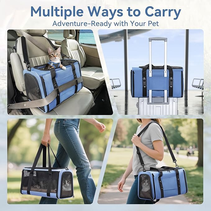 PETSFIT Cat Car Carrier for Medium Cats Dogs, 19"x12"x12" Small Dog Carrier, with Patent Safety Buckles and Escape-Proof Zipper - Safeguarding Car Travel, Vet Visit, Outdoor