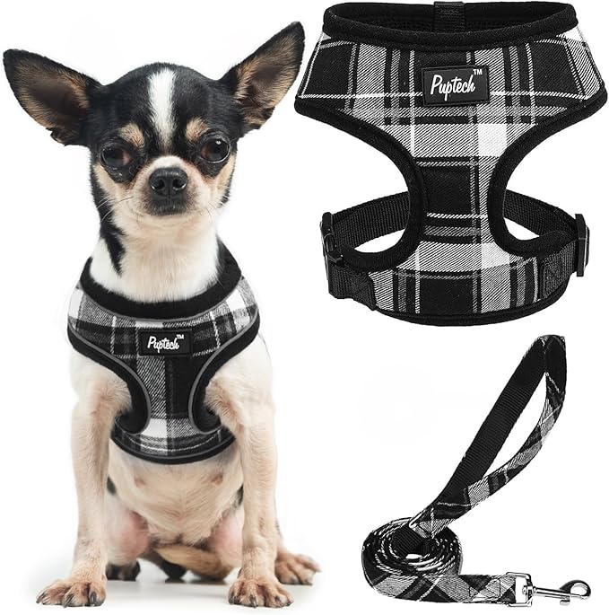 PUPTECK Soft Mesh Dog Harness and Leash Set Pet Puppy Cat Comfort Padded Vest No Pull Harnesses, Black, XS