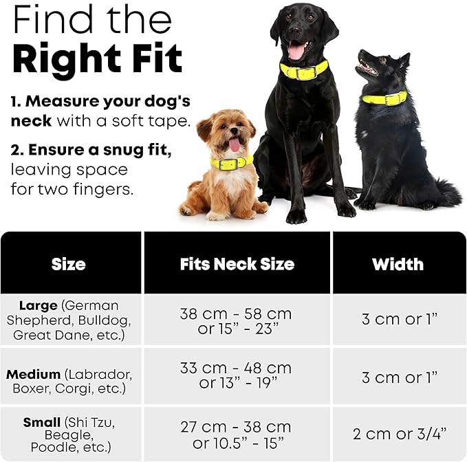 Regal Dog Products Medium Yellow Reflective Dog Collar with Custom Engraved Name Plate and Heavy Duty Center Ring | Waterproof Biothane Personalized Dog Collars - Other Sizes for Small & Large Dogs