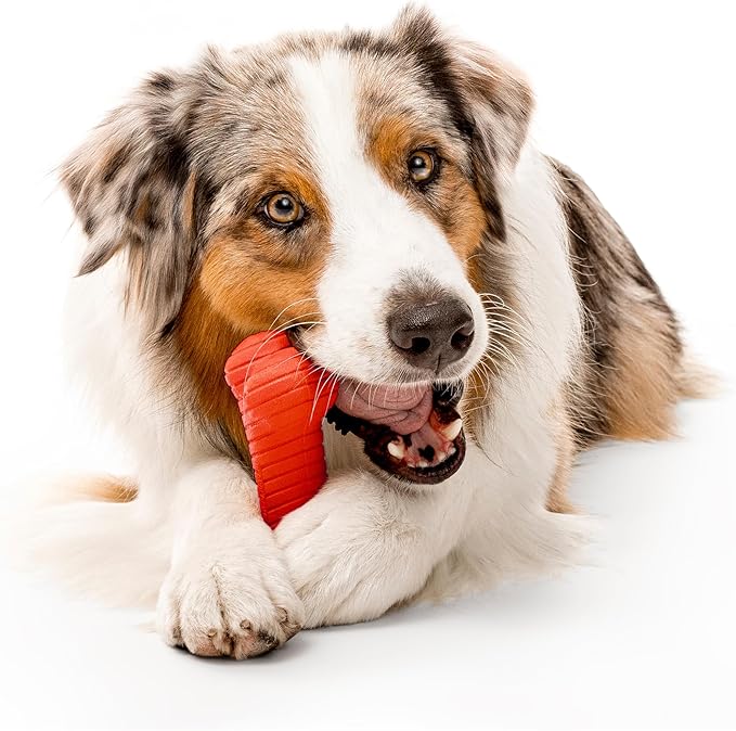 Playology Dog Toys | Dual Layer Bone Durable Chew Toy Bone for Dogs | Jumbo Beef Scented Toy - Easy to Clean and Made from Non Toxic Materials