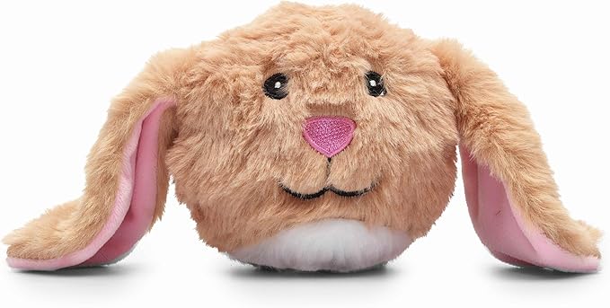 Flourish Pets 2 in 1 Multi-Layer Chew Toy for Active Dogs | Non-Toxic BPA Free Double Stitched Soft Fabric Exterior Dog Toys | Long-Lasting Dog Plush Toys – Bunny 3.5"