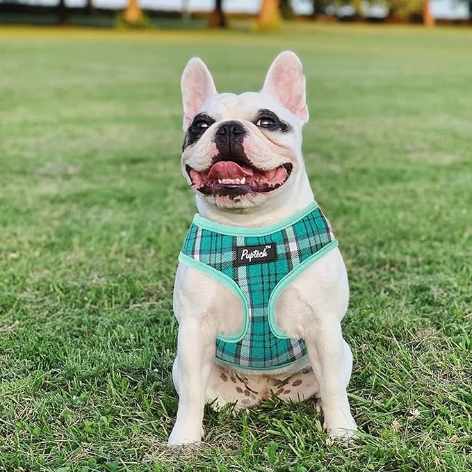 PUPTECK Soft Mesh Dog Harness and Leash Set Pet Puppy Cat Comfort Padded Vest No Pull Harnesses, Green, L