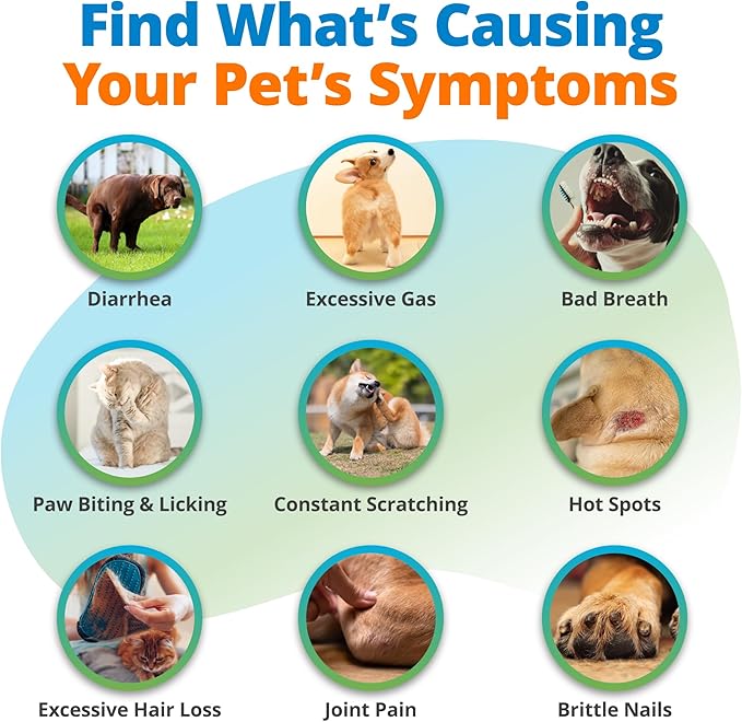 5Strands Pet Food Intolerance, Environmental & Heavy Metal Sensitivity, and Nutritional Imbalance Test, 1036 Items Tested, Cat & Dog Gut Health Test for All Breeds & Ages, Results in 4 Days