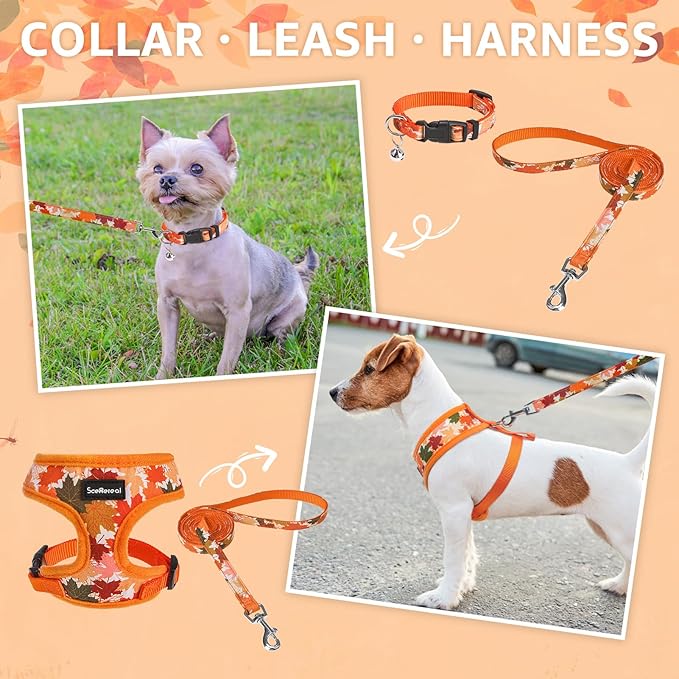 SCENEREAL Fall Dog Harness Collar and Leash Set for Small Dogs, Orange Leaf No Pull Dog Harnesses, Adjustable Step in Pet Vest for Doggie Puppy Cats Walking Outdoor, Chihuahua Yorkie Harness XS