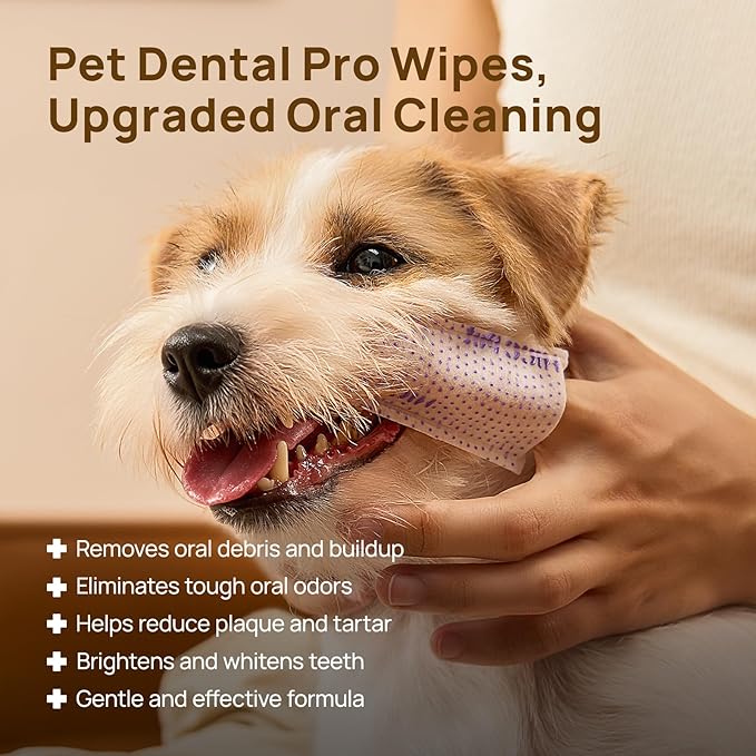 HICC PET Pro Teeth Cleaning Wipes for Dogs & Cats, Vet-Recommended Dental Care Finger Wipes, Reduce Plaque Tartar & Fresh Breath, No-Rinse Toothbrush, Gentle Clean Dog Tooth Brushing Kit, Mint