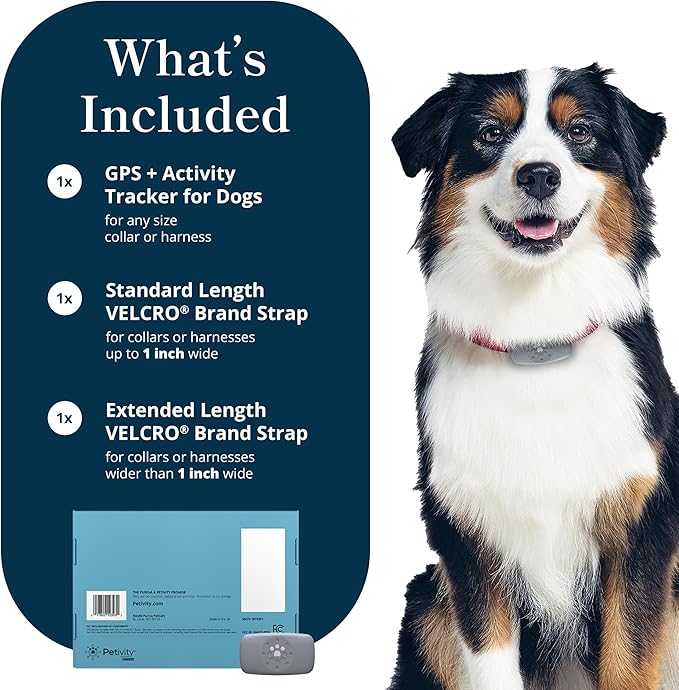 Petivity Smart GPS and Activity Dog Tracker