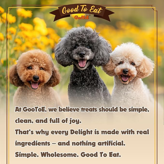 Gootoe Turkey Tendons for Dogs –All-Natural, Hypoallergenic Dog Treats, Rawhide Alternative, Long Lasting Puppy Chews, Healthy Dog Treats for Medium Breeds, Twists (M), 6 Count Pack