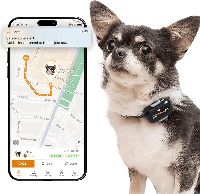 Pawfit Lite for Small Dogs 4g GPS Tracker | Real Time Tracking | Activity Monitoring |Location History | Unlimited Range | Onyx Black