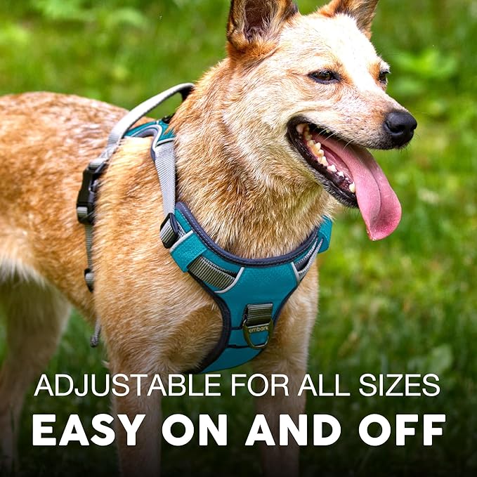 Embark Adventure Dog Harness, Easy On and Off with Front and Back Leash Attachment Points & Control Handle - No Pull Training, Size Adjustable and No Choke (Small - Teal Blue)