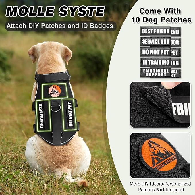 Tactical Service Dog Vest and Leash Set,Heavy Duty Harness with Metal Buckles for Large Dogs,Adjustable No Pull Pet Vest with 10 Patches,for Training Working Hiking,Black L