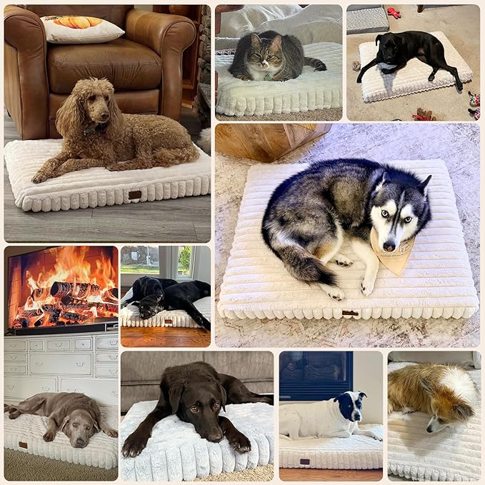 Orthopedic Dog Bed for Extra Large Dog, Waterproof Pet Bed for Crate,Non-Slip Bottom and Egg-Crate Foam with Removable Washable Cover Crate Bed,Green,41"x27"x4"