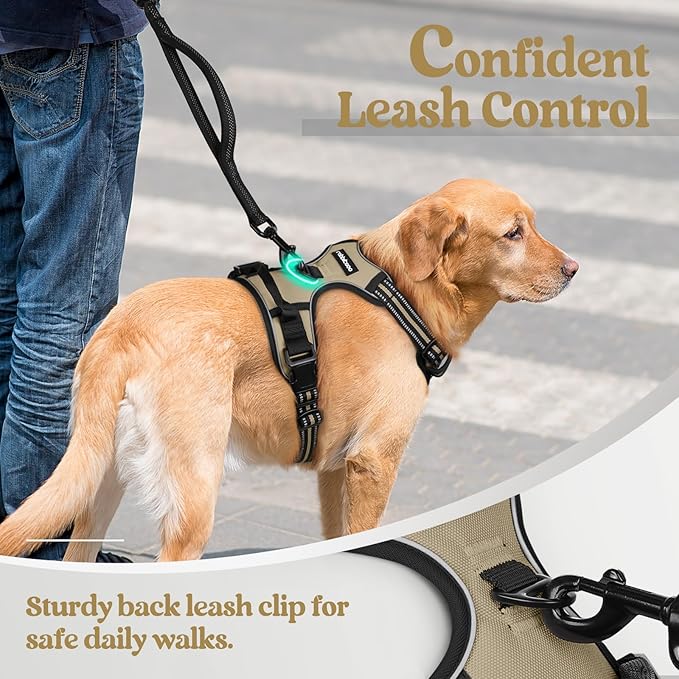 rabbitgoo Dog Harness No Pull with 2 Leash Clips, Adjustable Soft Padded, Reflective Oxford No Choke Pet Vest with Easy Control Handle for Large Dogs, Beige, XL