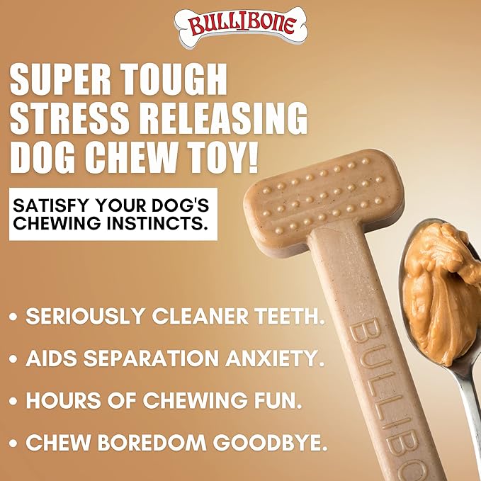 Bullibone Nylon Dog Chew Toy for Aggressive Chewers - Dental Hygiene Bone with Peanut Butter Flavor, Durable Tough Chew Toys for Small Dogs, Indestructible Dog Bone - Single